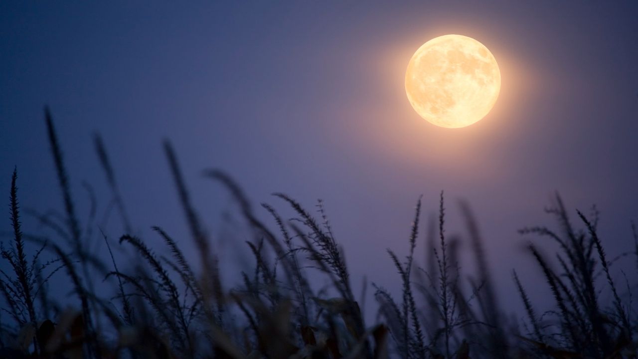 Full moons of 2026: When to see September's harvest moon rise