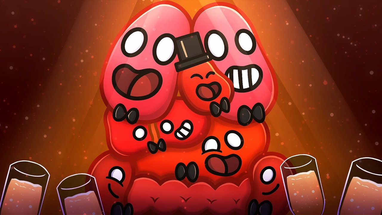 Best organ: The showdown