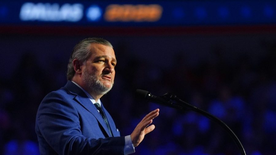 Cruz on $5K dividend: ‘I don't think we should be paying people that are not working'