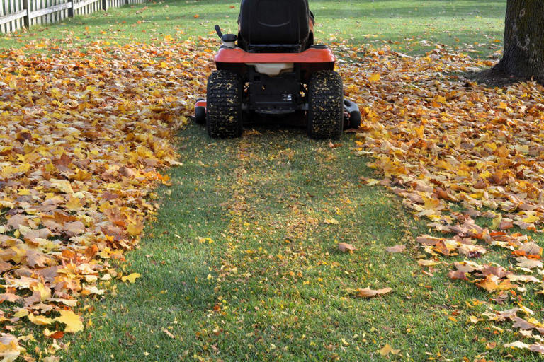Should you rake your leaves—or just mow them? Here’s what experts recommend
