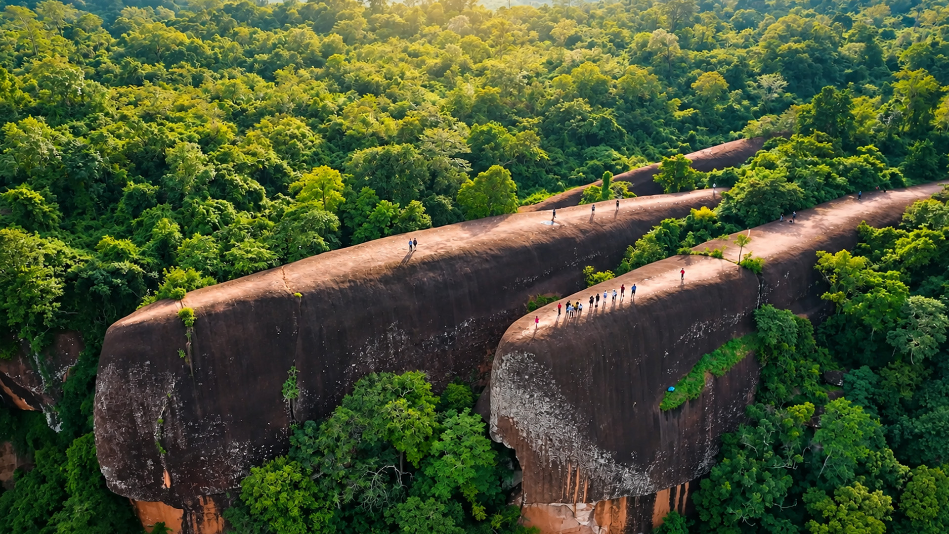 This giant rock formation is hidden inside the forest