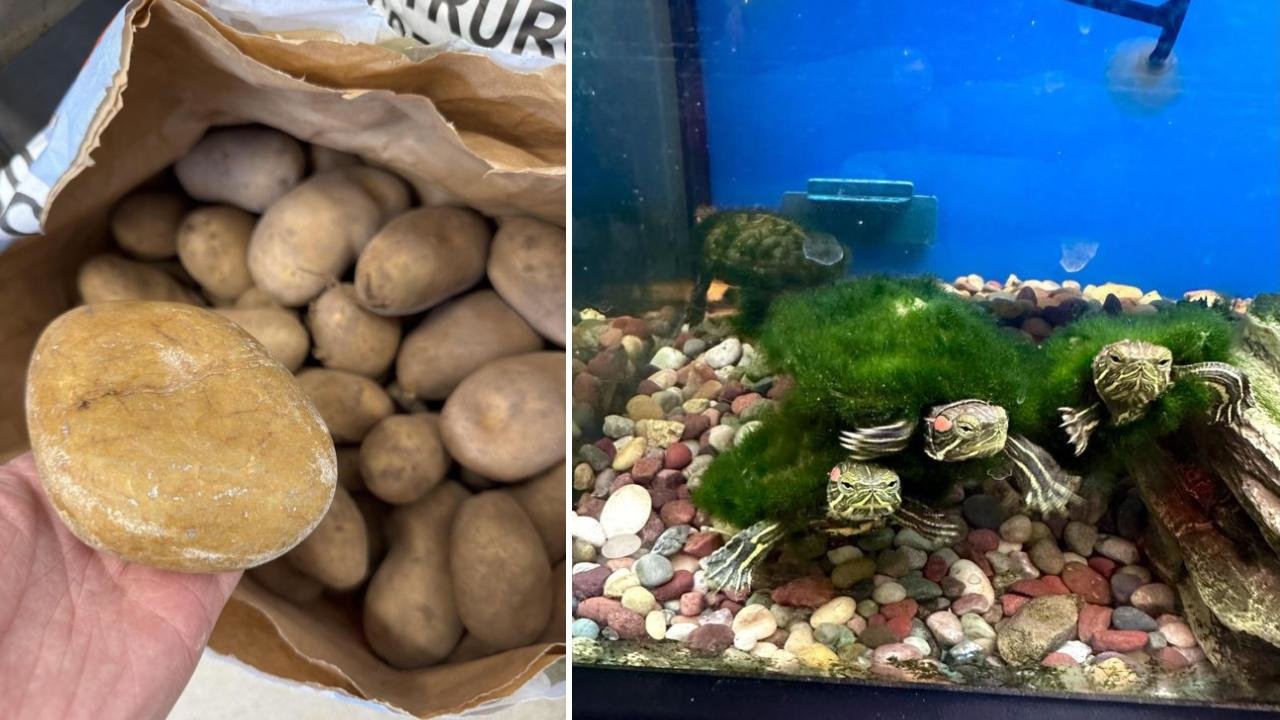 25 intriguing images to help you appreciate life's small moments