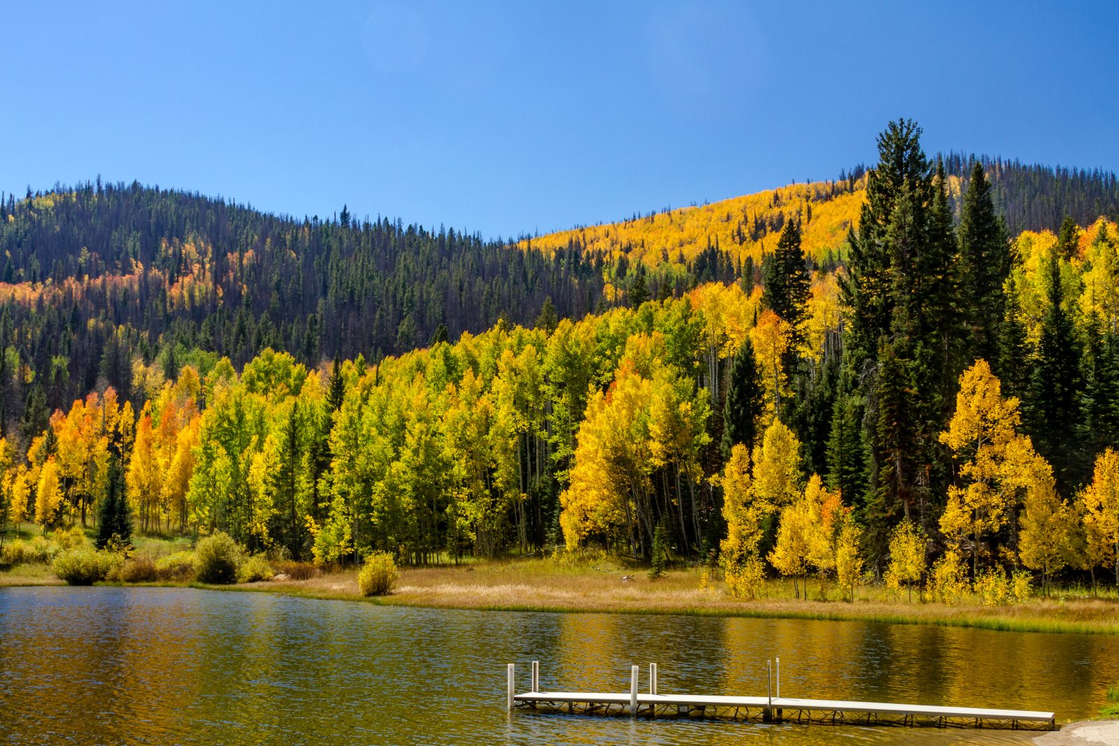 Pearl Lake State Park is Colorado's best-kept secret for peak fall color