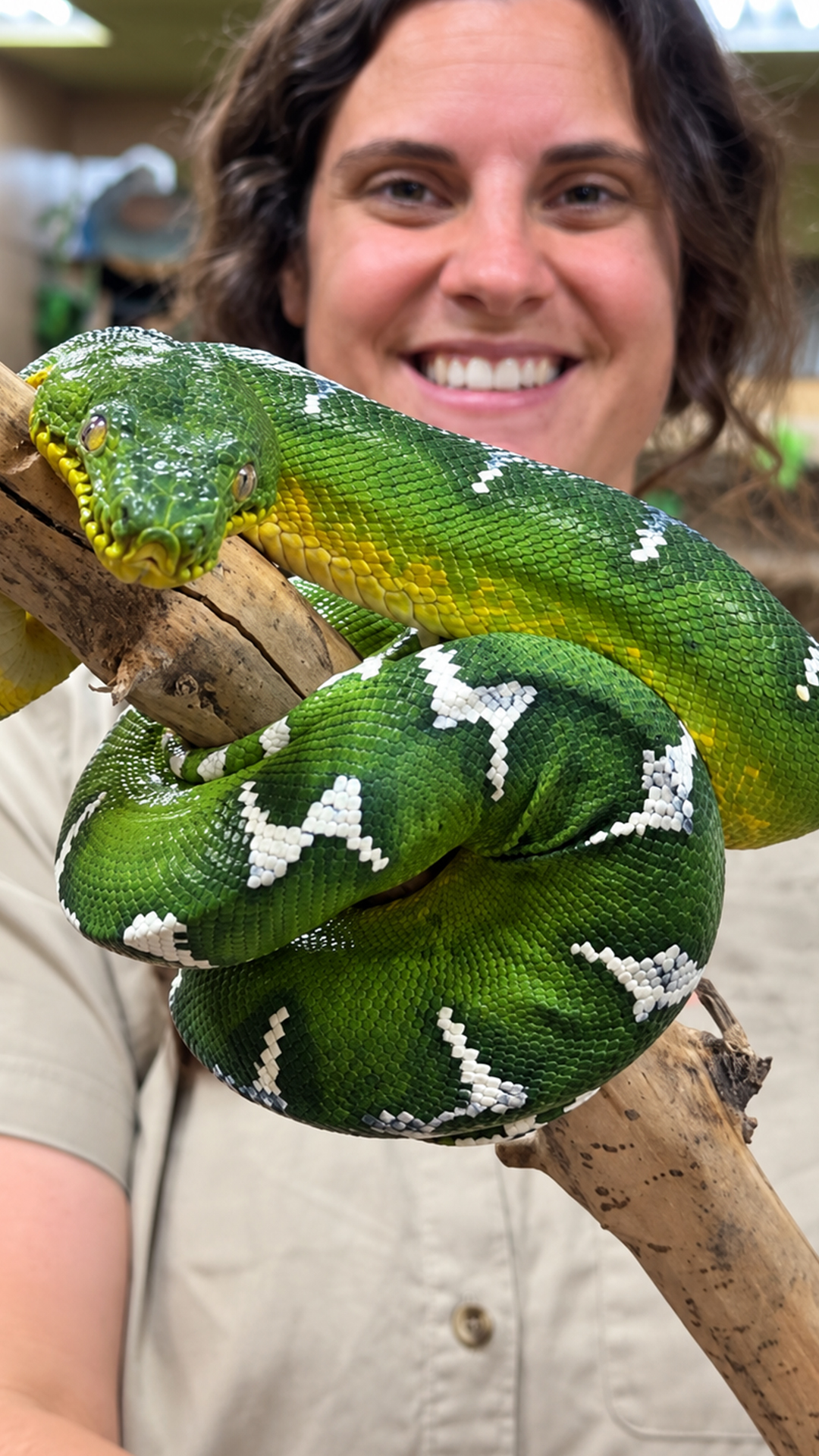This stunning green snake hides a powerful hunting ability
