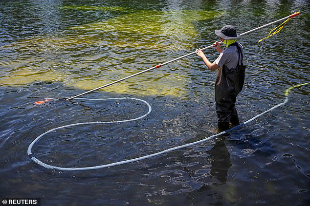 Trump forced to pay another huge sum to repair troubled Reflecting Pool ...