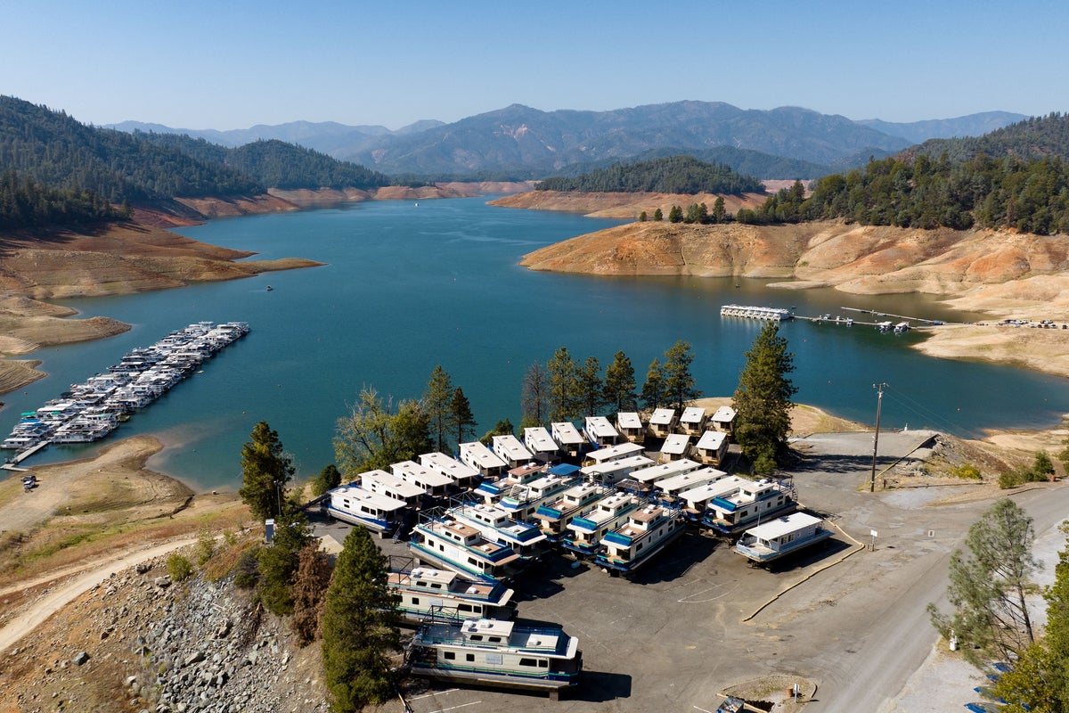 Man drowns trying to save dog that jumped into California lake