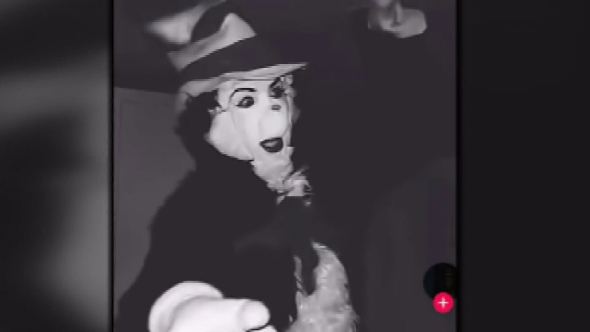 Arizona authorities warn of viral 'Cat in the Hat' trend