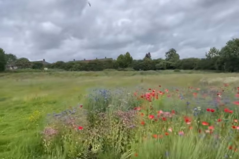 The Radcliffe estate where residents' green oasis fears look set to ...
