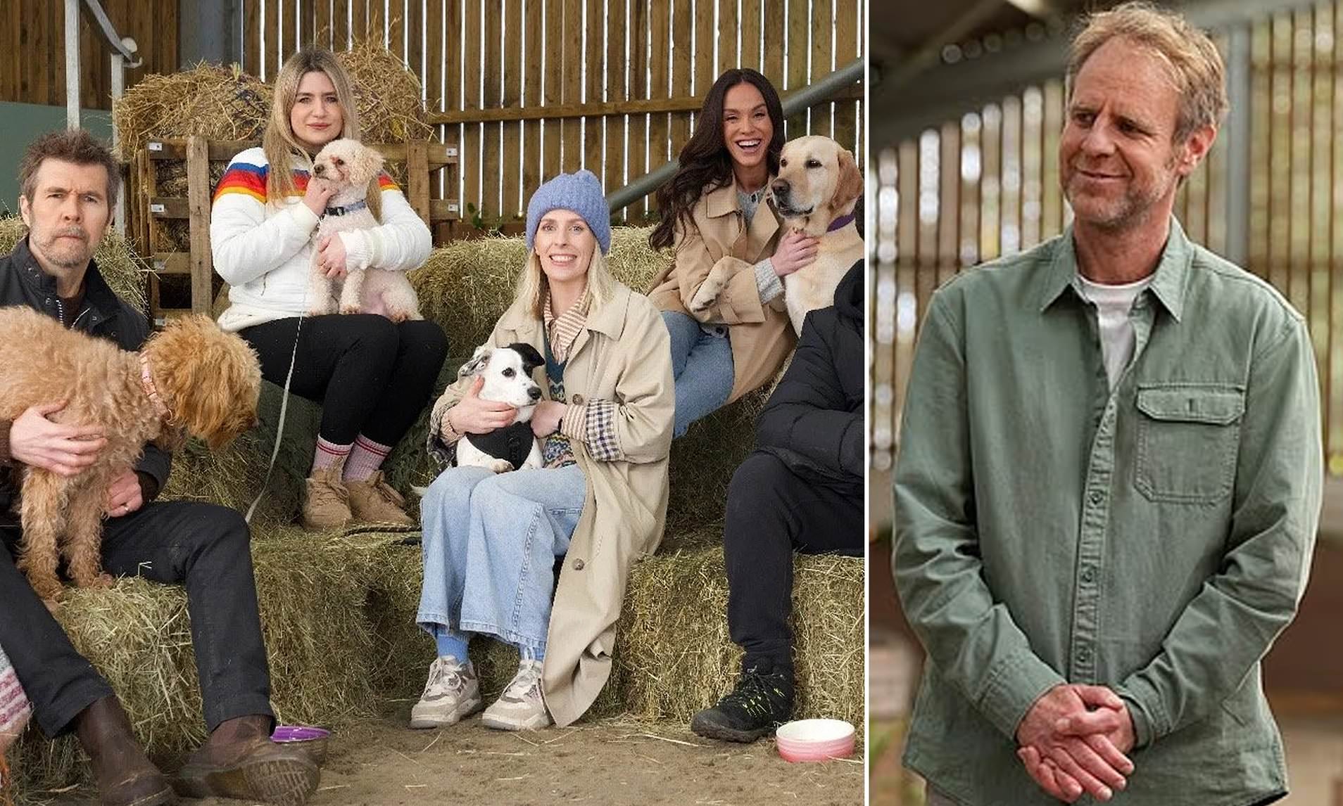 Celeb dog trainer reveals 'demanding' breeds that are a 'nightmare in the wrong house'