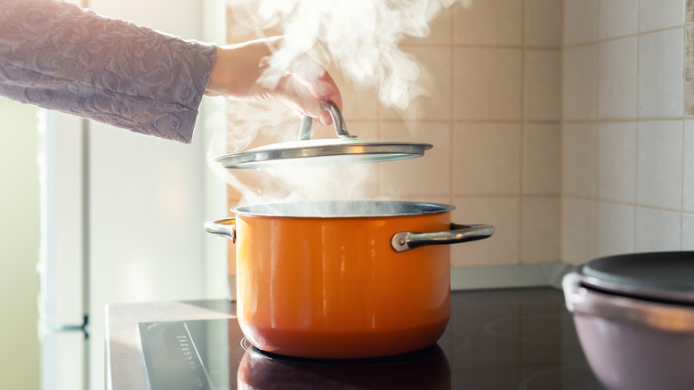 How fast water boils on an induction stove vs a gas stove (there's a big difference)