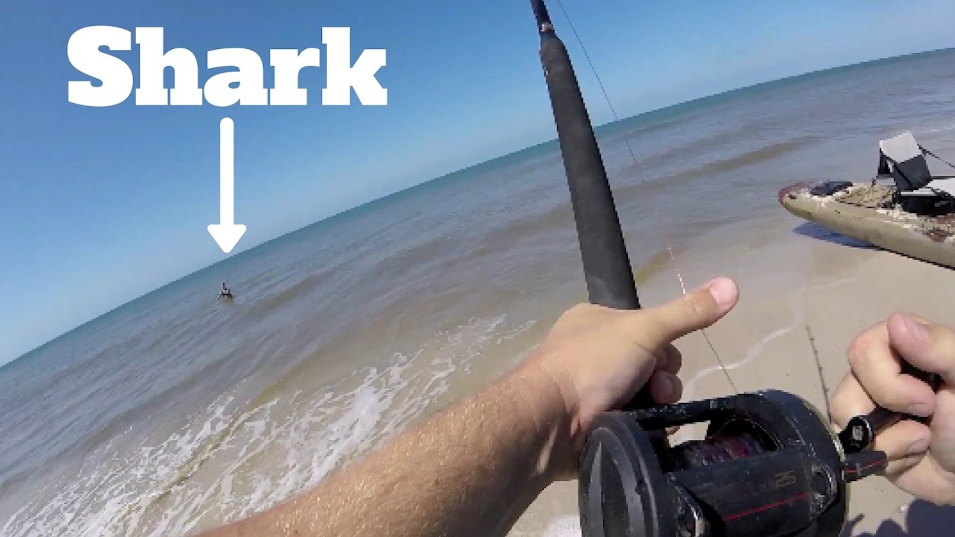 Beginner shark fishing in Florida: Beach fishing adventure and tips
