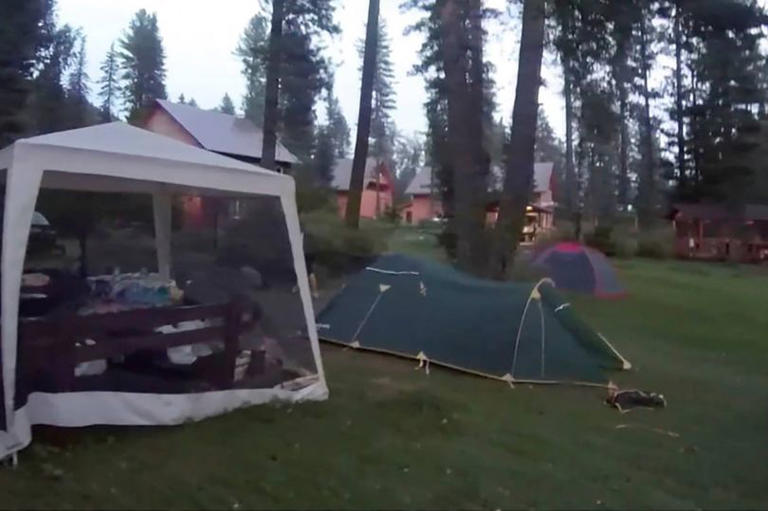 Screaming bride-to-be dragged from tent and eaten alive in forest as ...