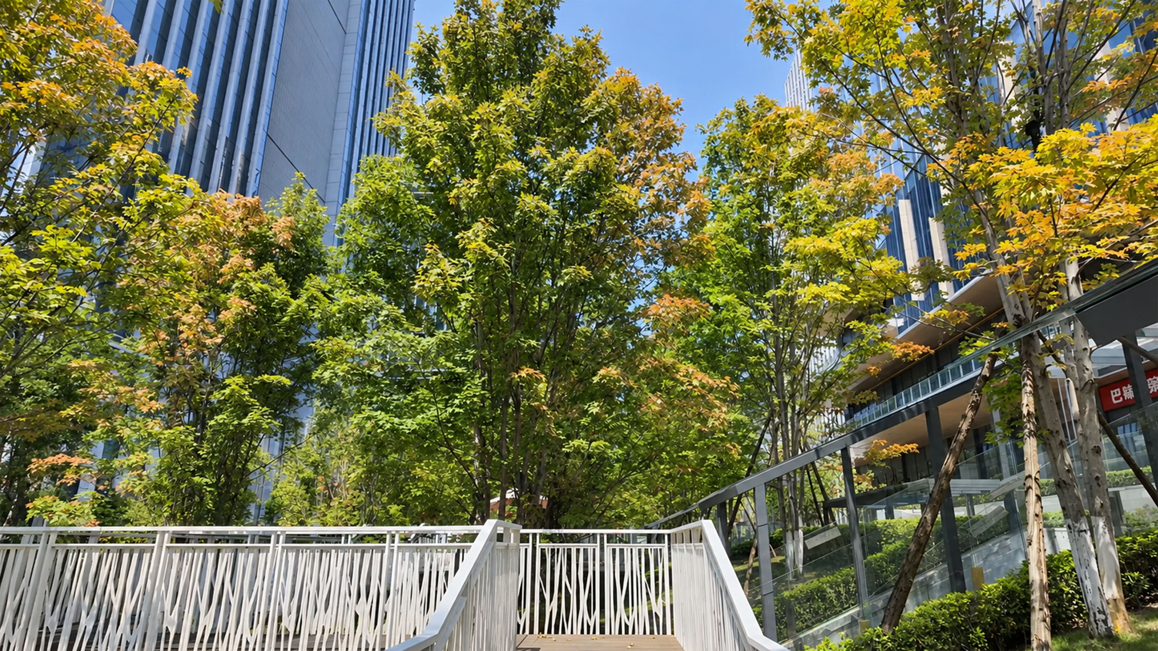 China combines tall buildings with calm green public spaces