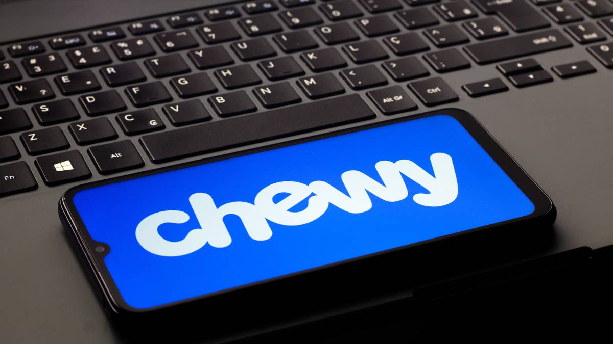 Chewy's PetTemp heating blanket is a cozy fix for achy, chilly pets
