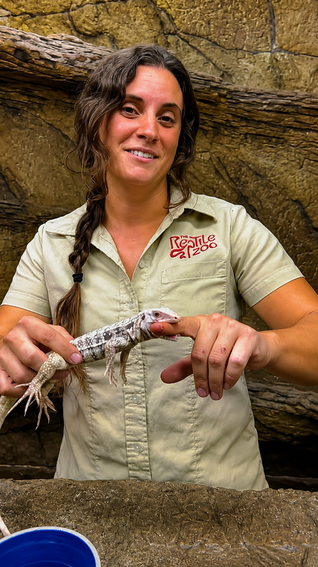Hungry albino monitor lizard mistakes keeper finger for food treat