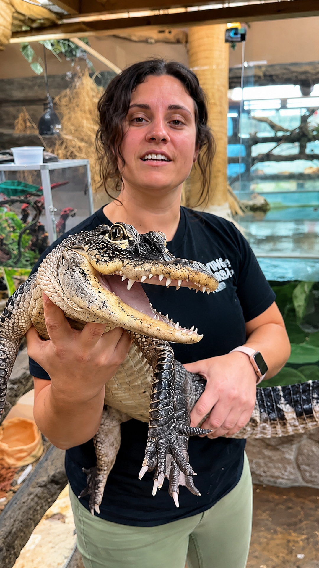Meet the baby gator nicknamed the vacuum cleaner
