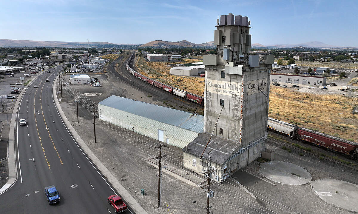 Towering historic Tri-Cities landmark going on the auction block