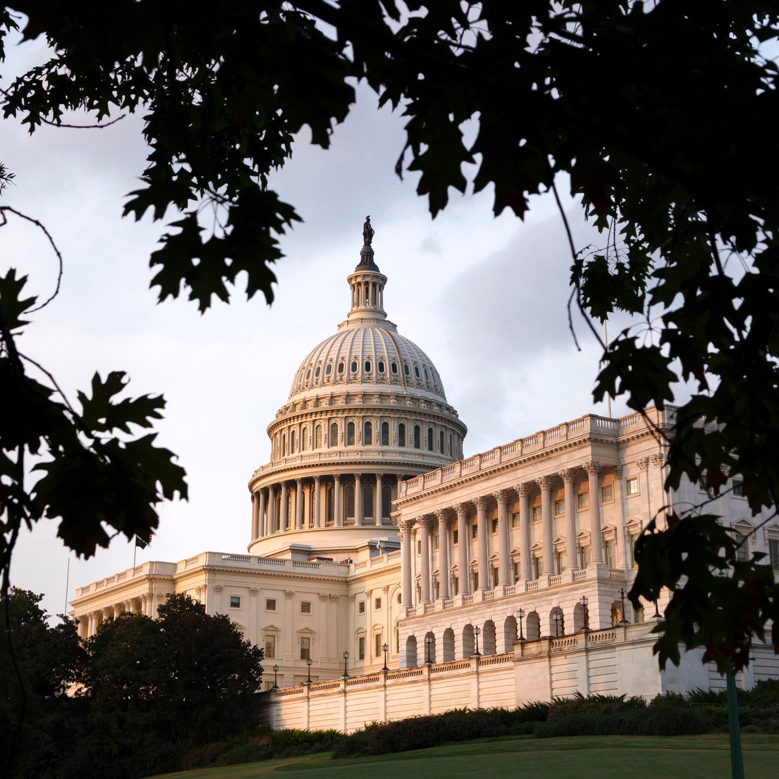 2026 midterm election races to watch
