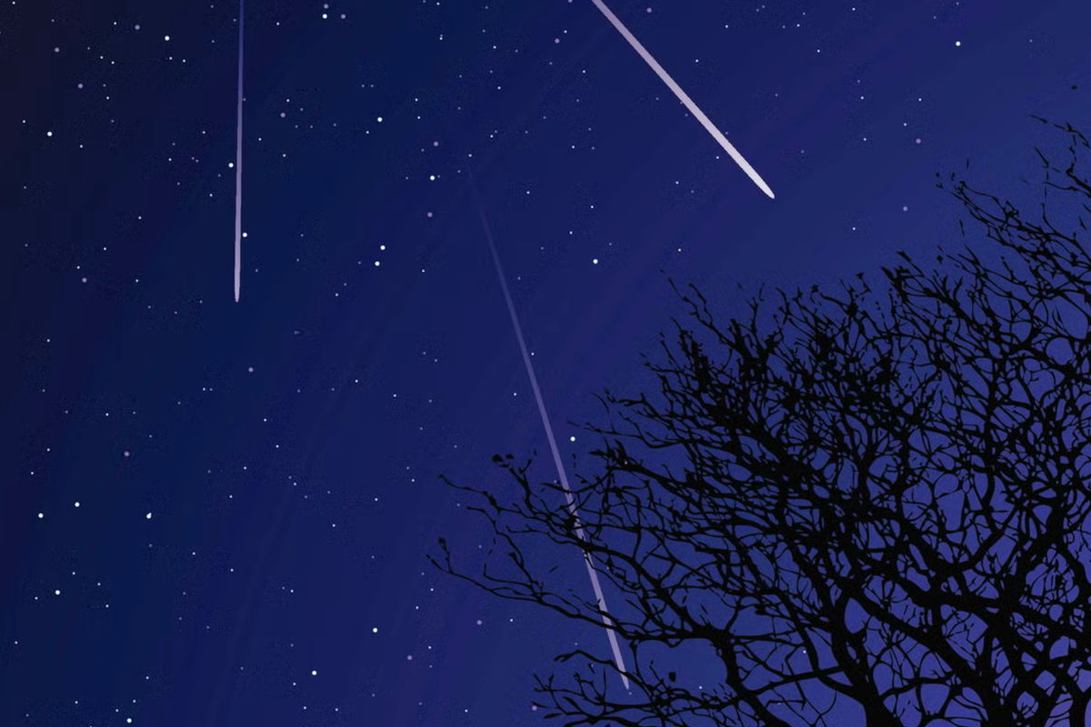 Orionid meteor shower hits its peak next week. Here’s when to see it