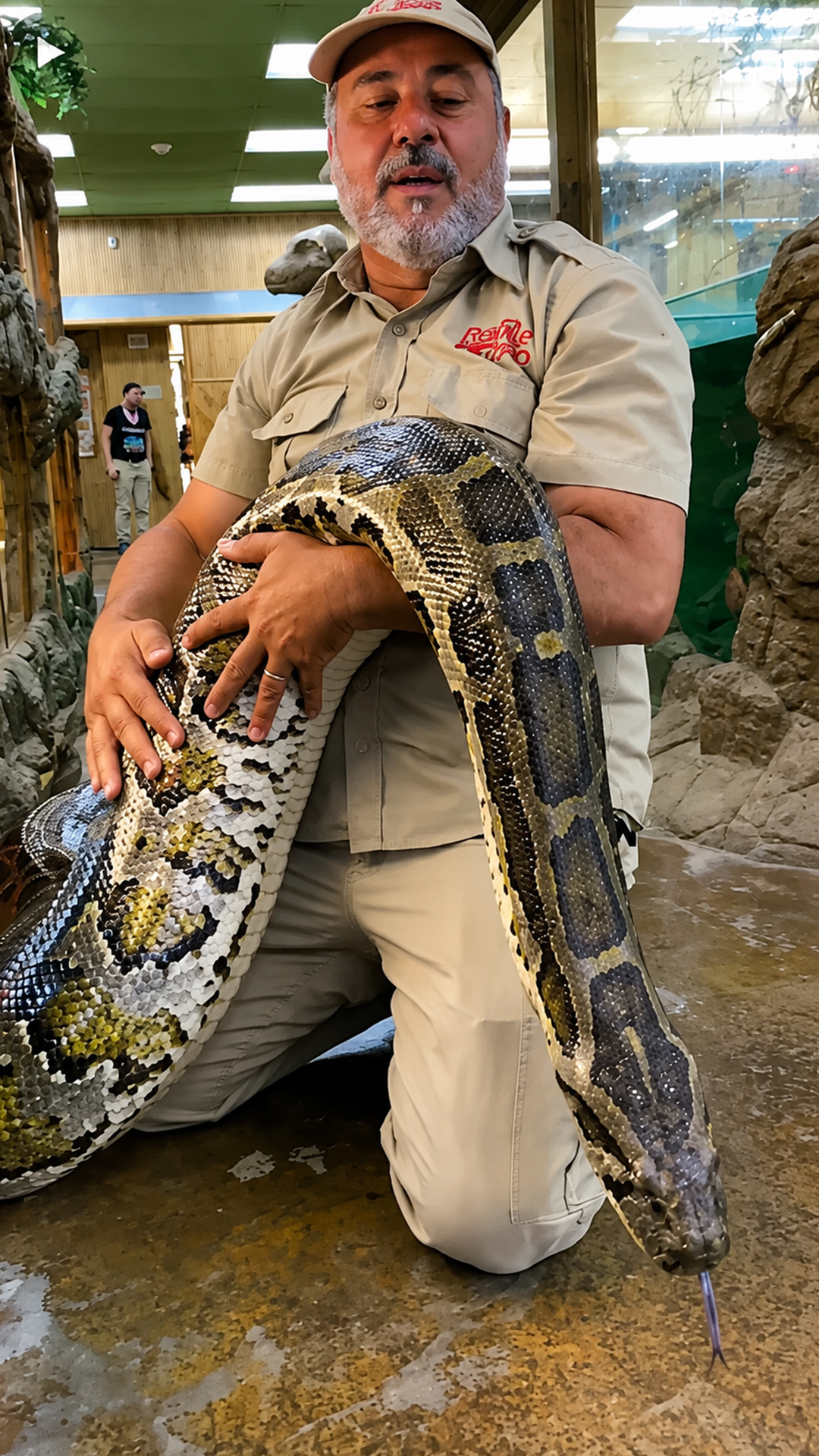 Wildlife handler relieves a python's stuck shed with tweezers