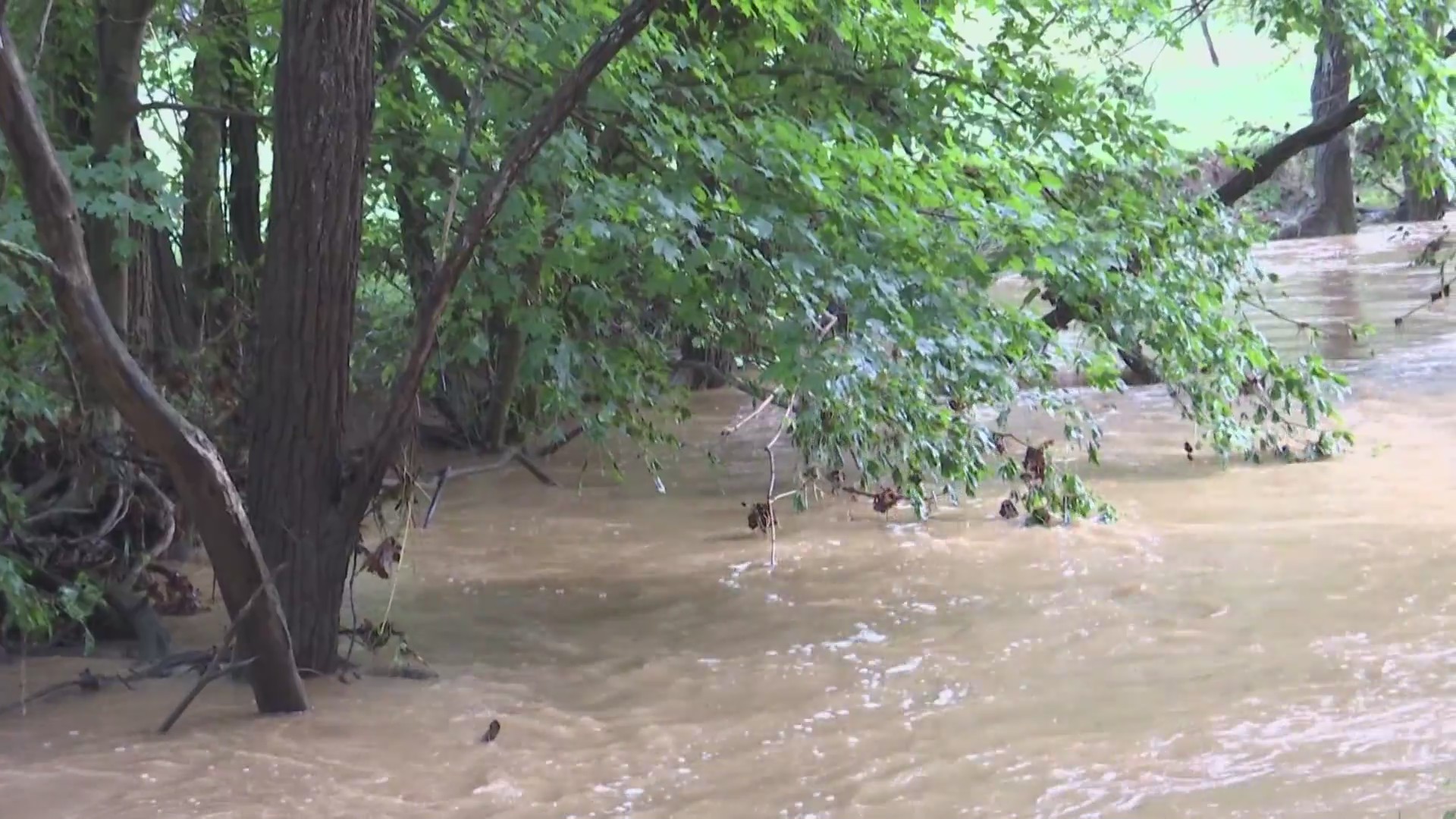 Flash flooding hits Mason County, prompts water rescue and road closures