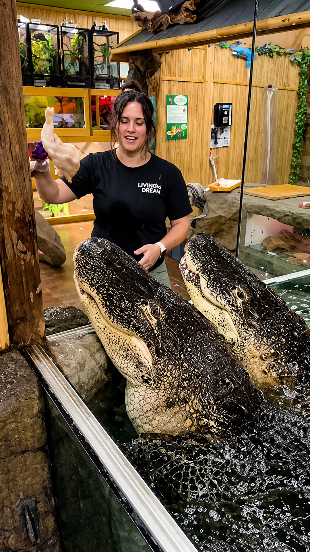 Managing two giant predators during a high-stakes feeding session
