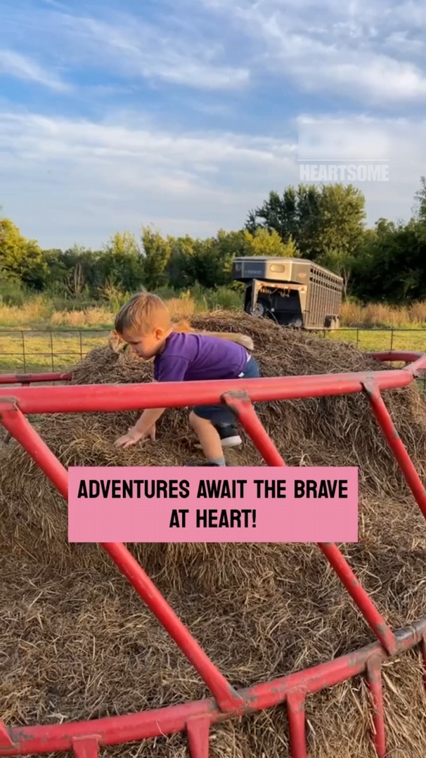 The toddler has a playful adventure in a goat hay ring before taking an ...