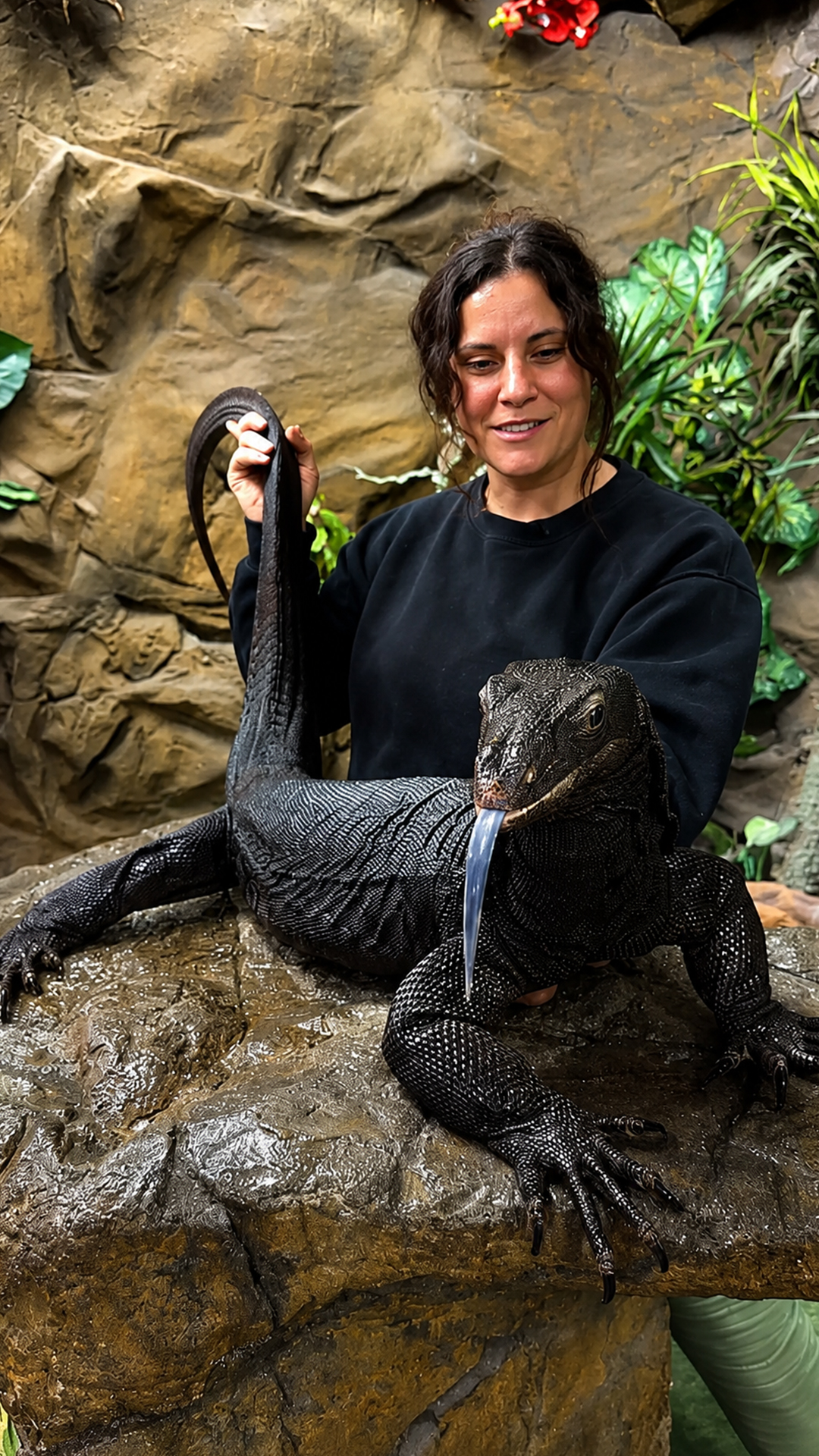Melanistic water monitor enjoys a relaxing soapy wash and scrub