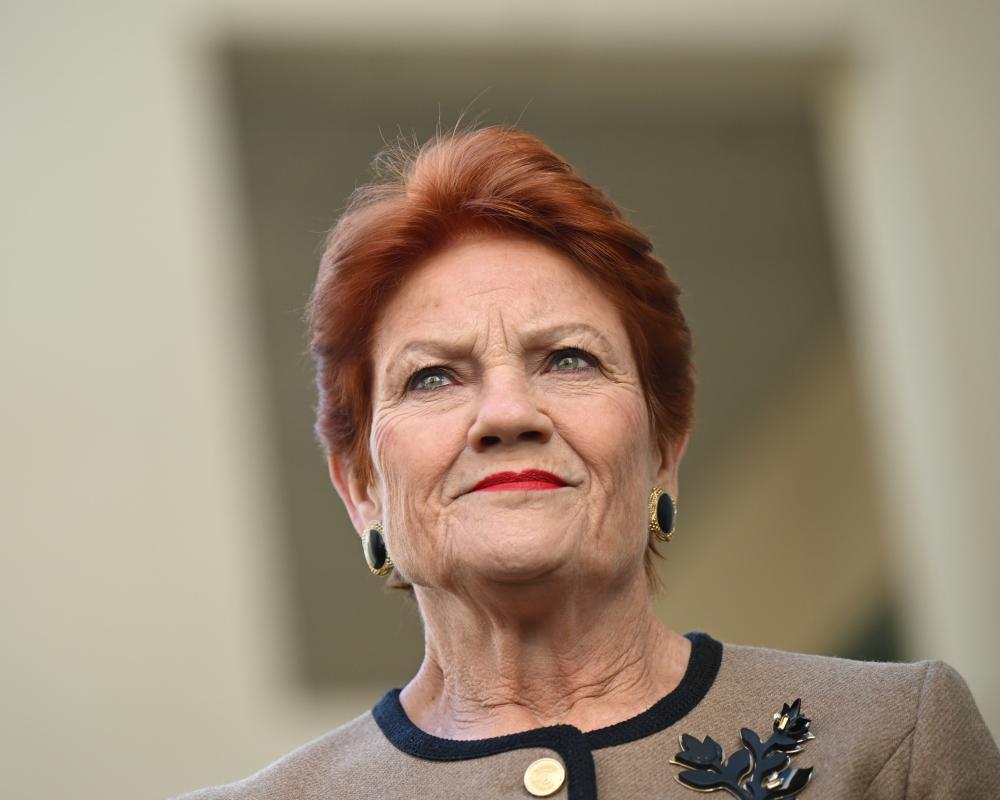One Nation vows to cut migration by 750,000 amid warnings move would damage economy