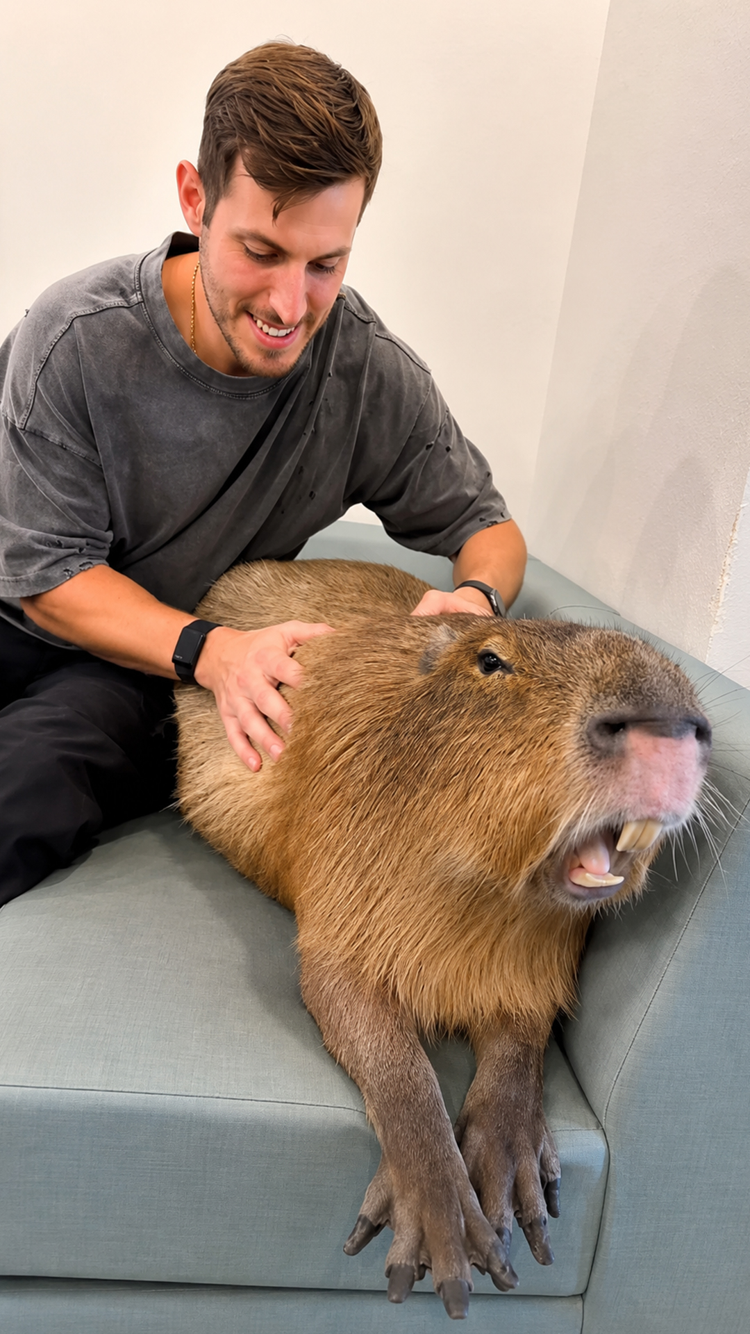 Inside the most relaxing and cool capybara cafe ever