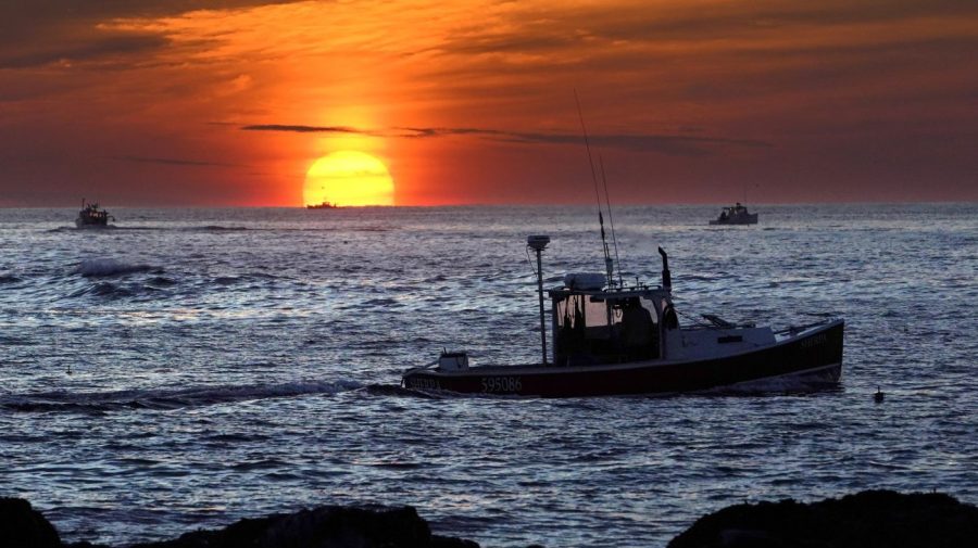 Maine's lobster industry finds itself squeezed on all sides amid Canada trade war