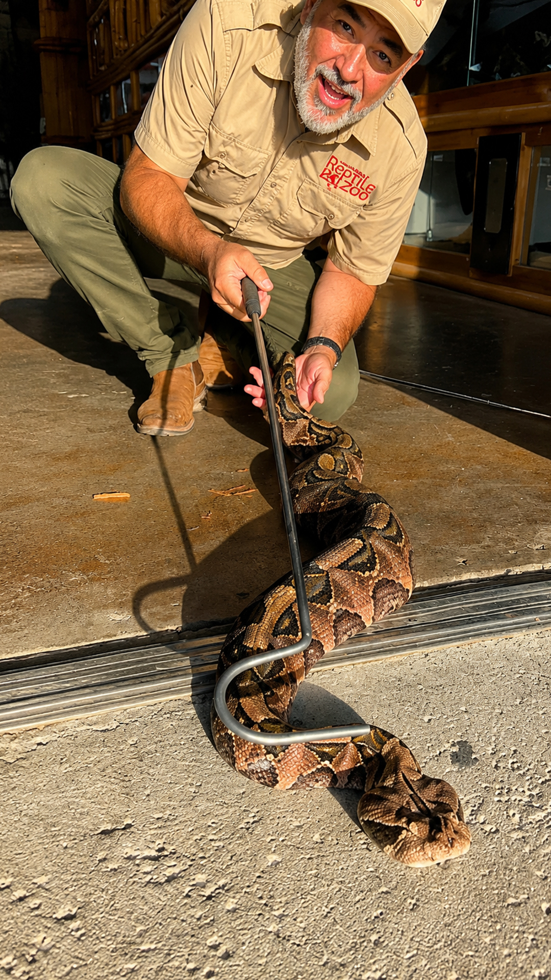 Longest snake fangs in the world belong to this terrifying viper