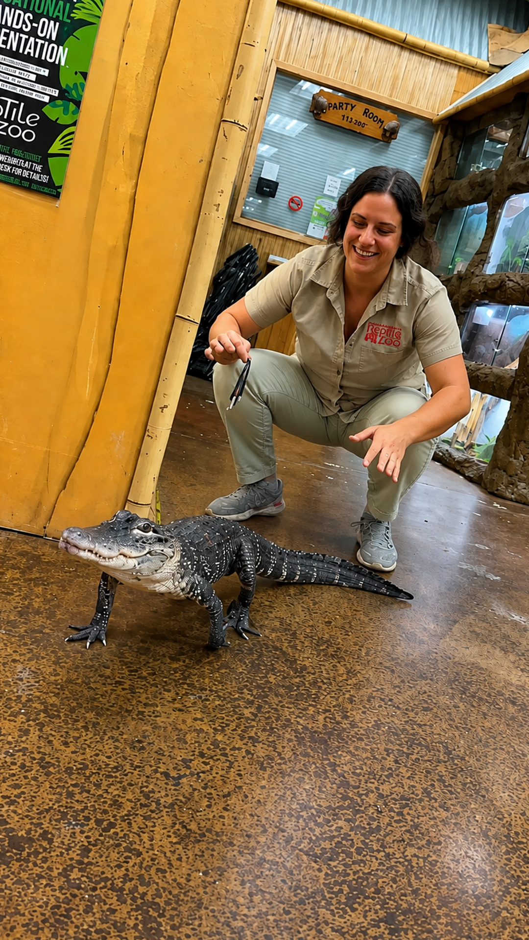 Raw predatory bite force displayed by an alligator crushing dinner