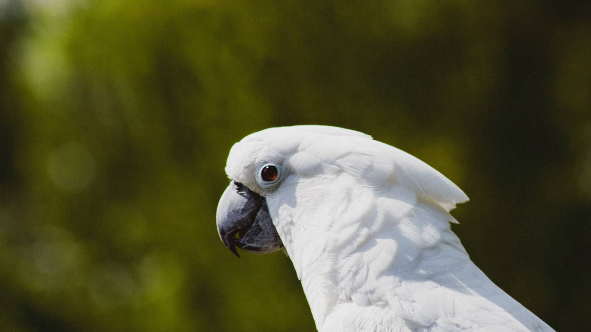 https://img-s-msn-com.akamaized.net/tenant/amp/entityid/AA2c8mmE.img?w=768&h=432&m=4&q=62