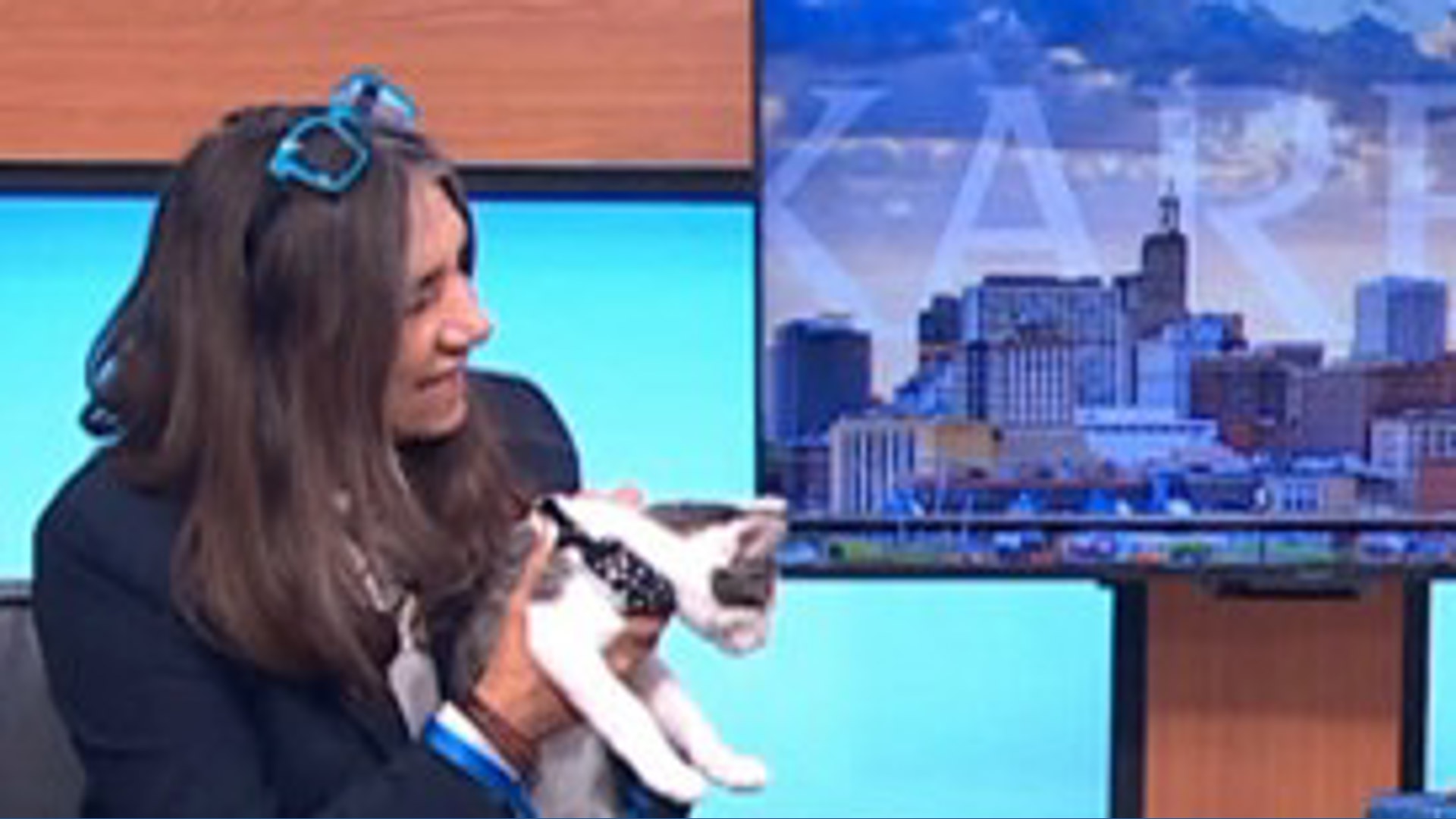 Pet Haven introduces Freedom & Mocha