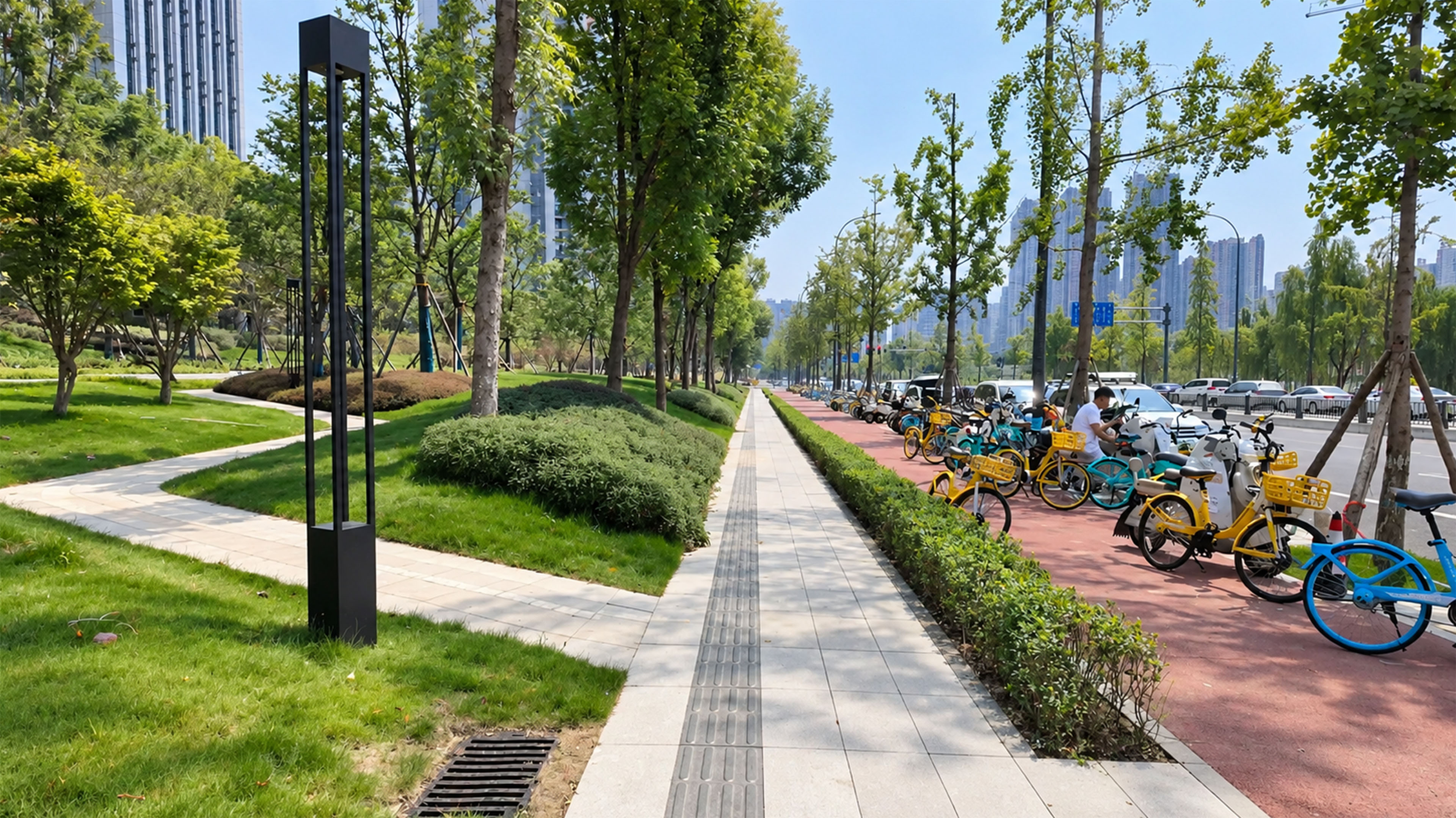 Shared bicycles line this surprisingly green street in China