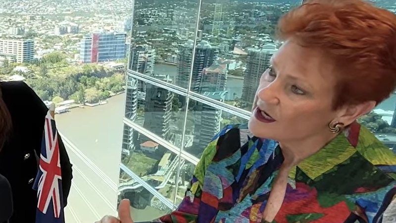 Pauline Hanson called Indigenous Australians 'most primitive race' in newly surfaced interview