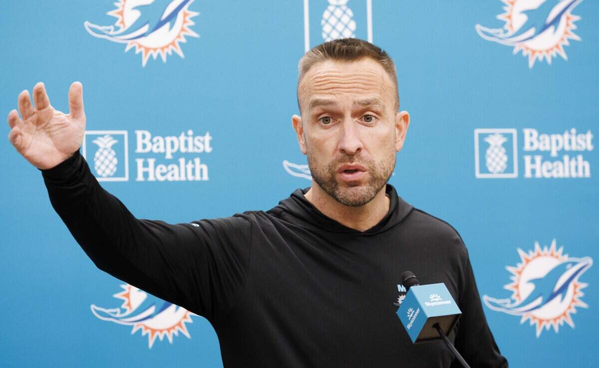 Dolphins' Hafley updates injuries, Willis, pass rush, more and kickers ...