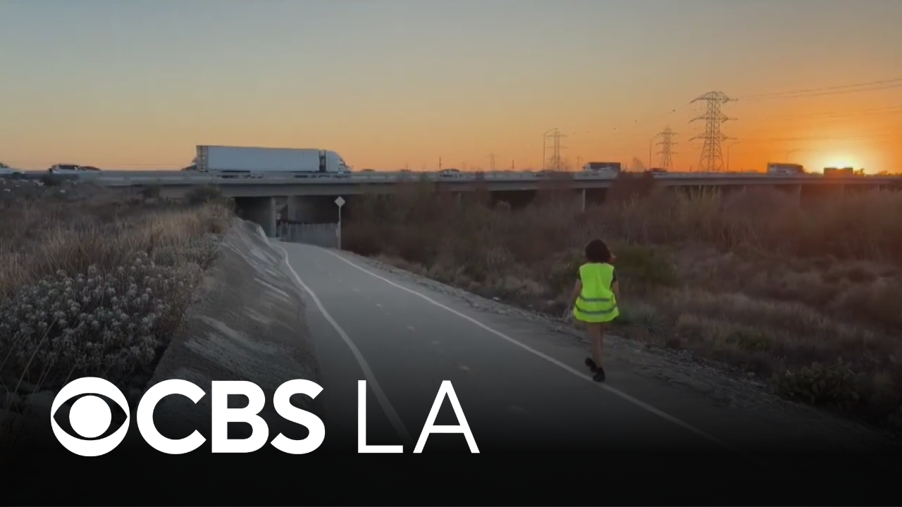 Angelenos get up close look at LA County's bat population with urban walks