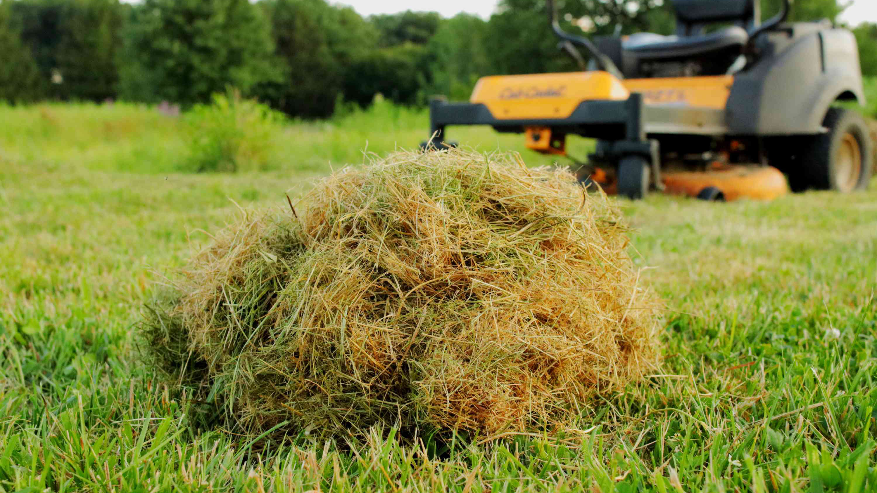 The benefits of lawn mulching explained