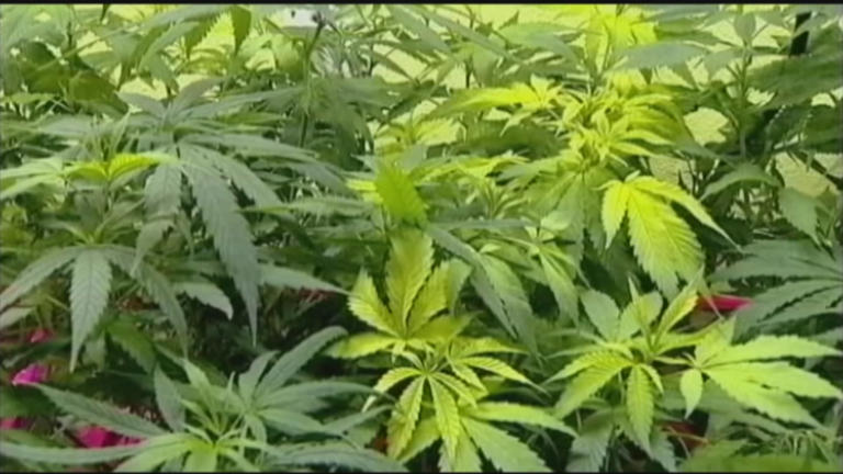 Pennsylvania auditor general releases performance audit of state’s ...