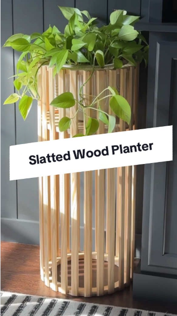 A simple project for a stylish plant display