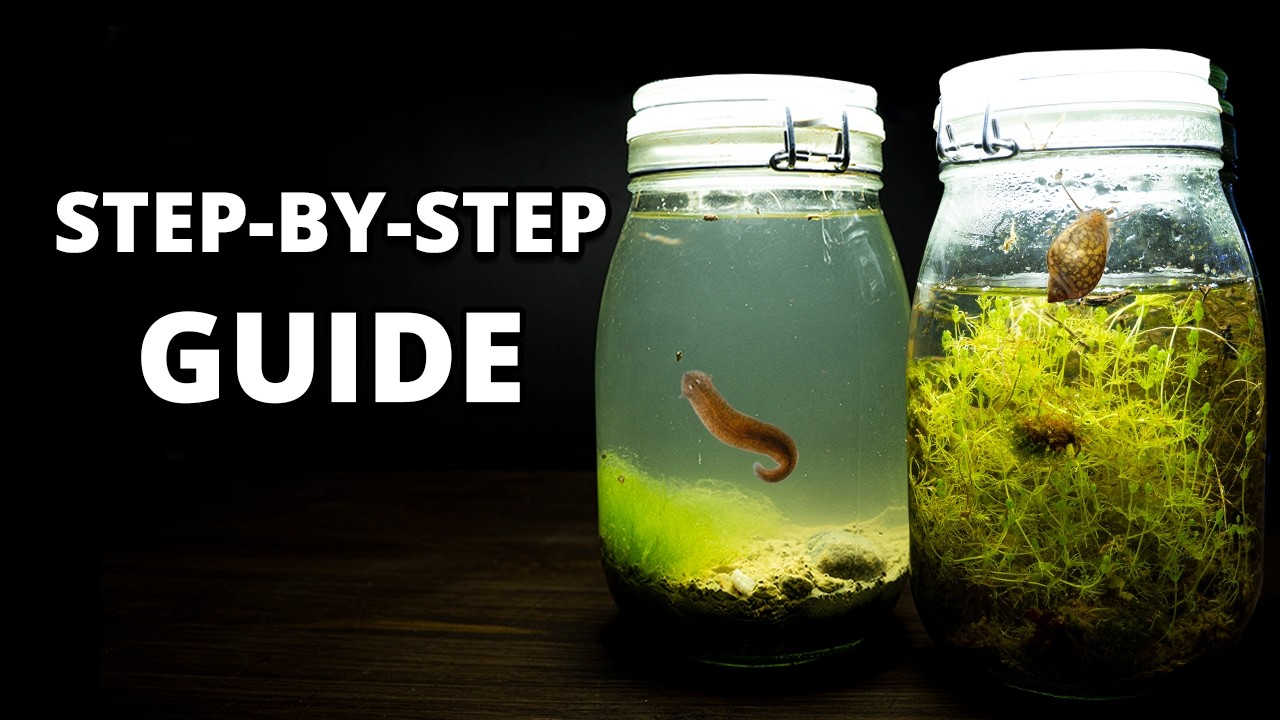 Discover the secret life inside jars!
