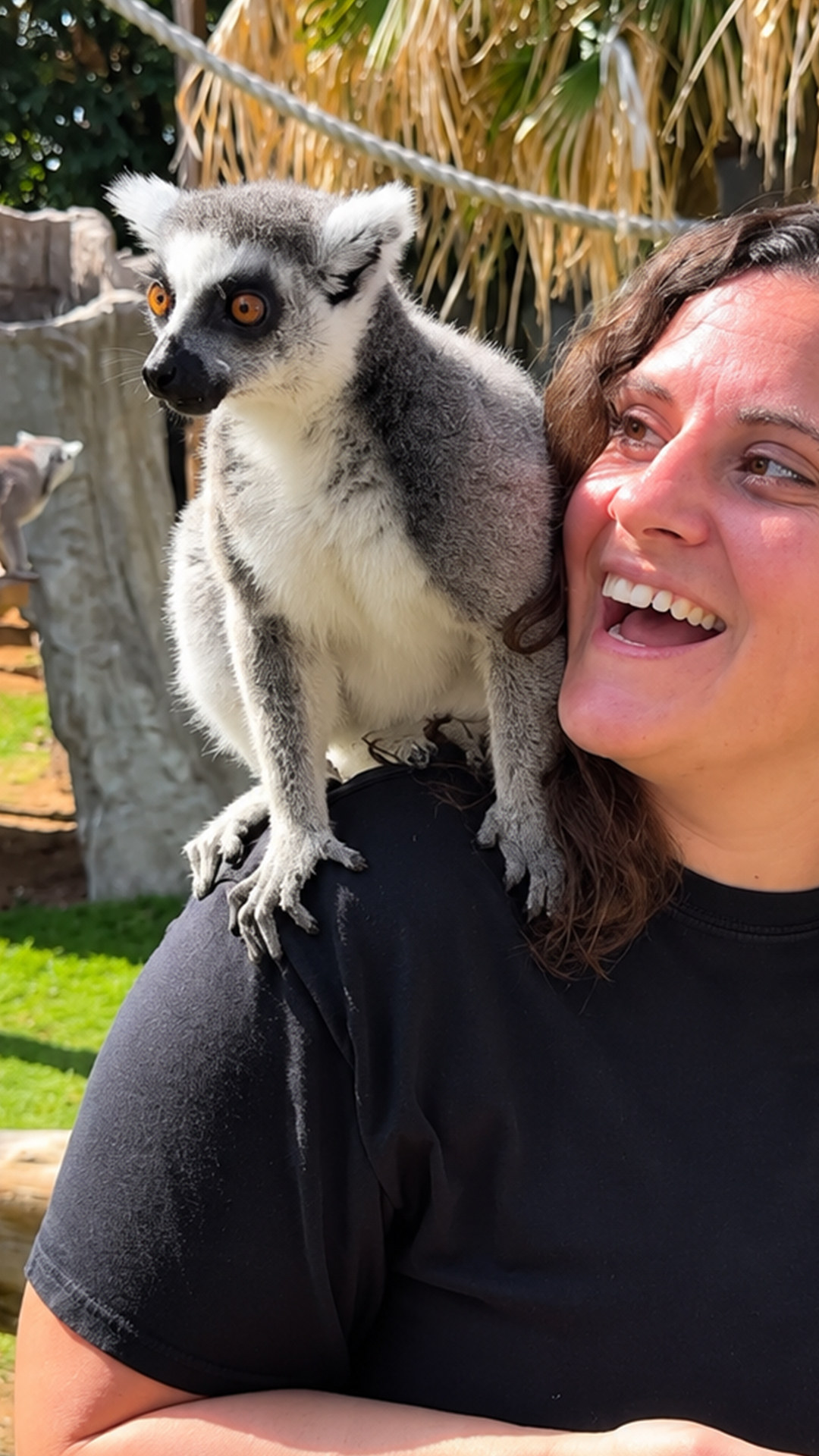 Female ring-tailed lemurs dominate social structure in wild troops