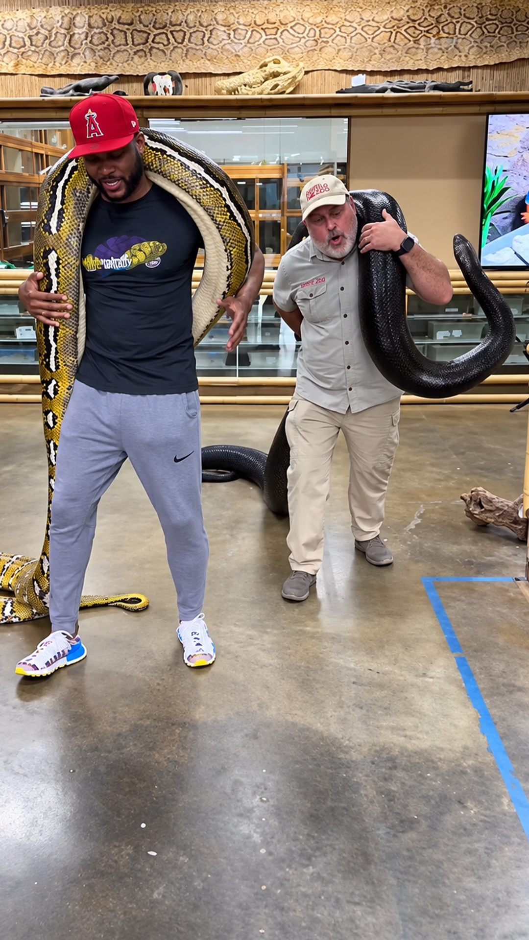 They dance down the hallway with giant pythons on their shoulders