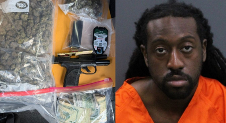 Tinted tag cover in Tampa leads deputies straight to gun, cash, and ...