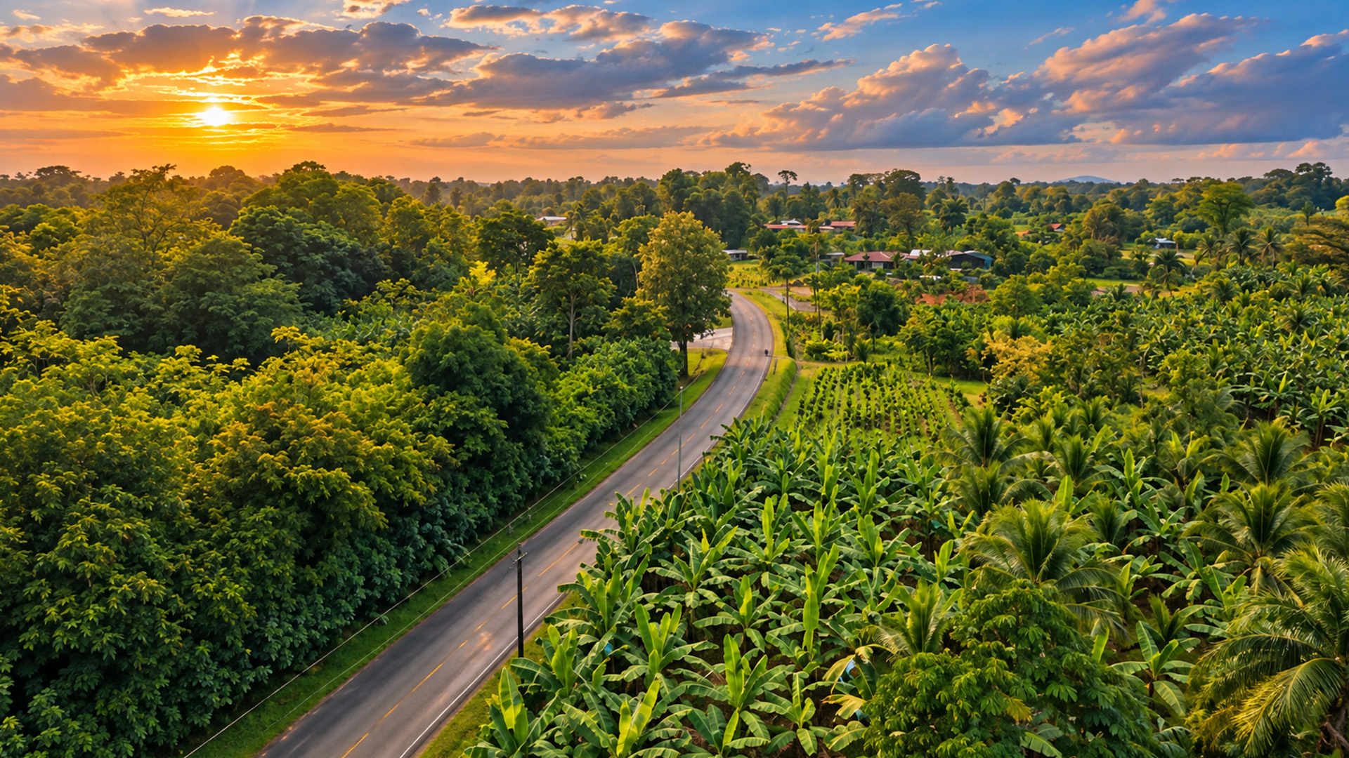 Tropical farms surrounded by Costa Rica’s dense forests