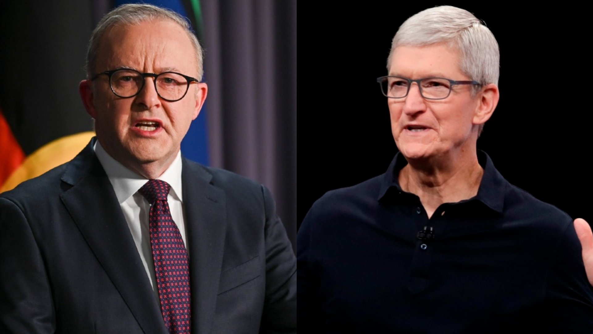 Albanese backs stronger AI regulation after meeting with Apple's Tim Cook