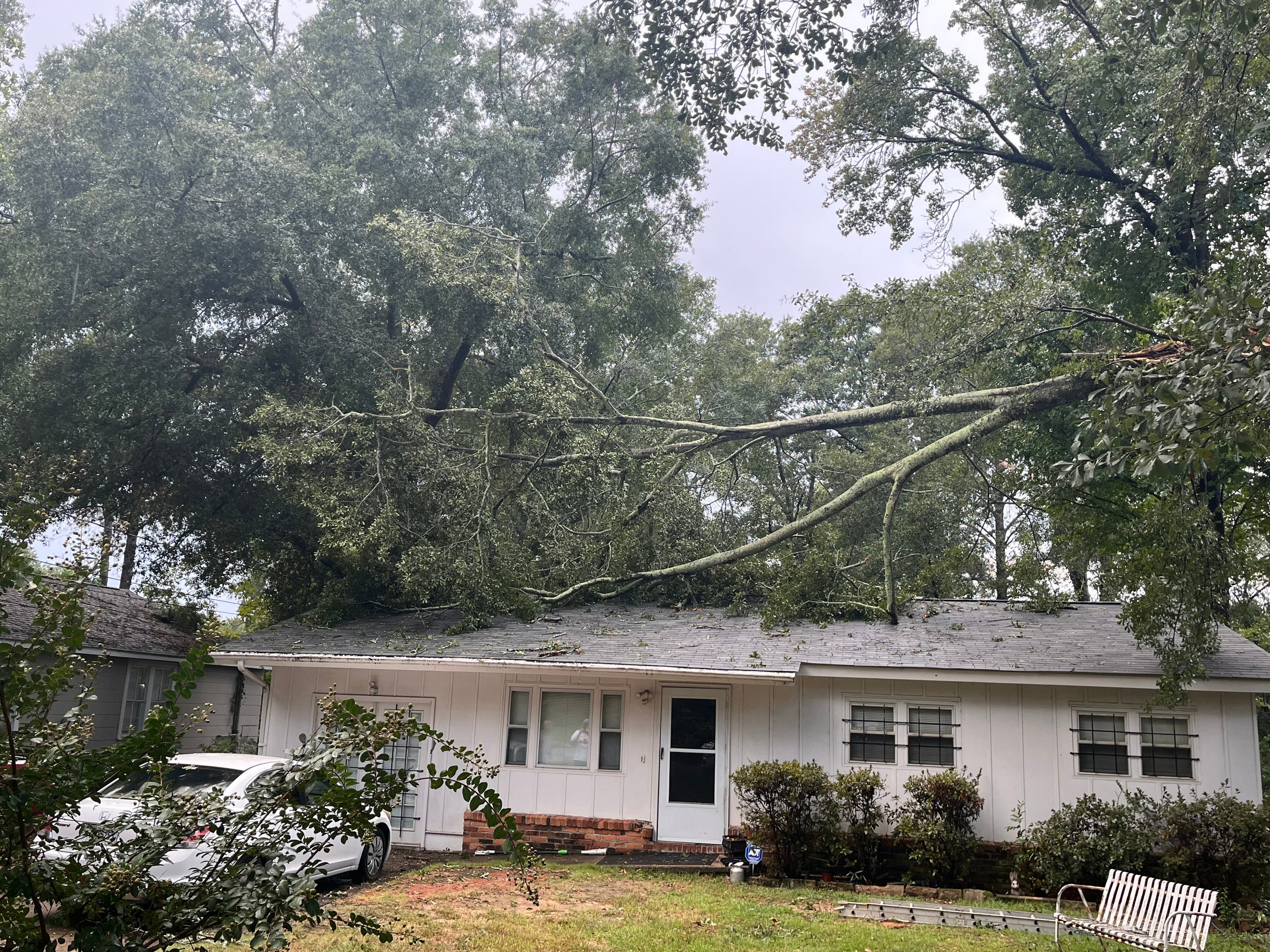 Storm damage in Columbus: Fallen trees cause gas leak, hit home