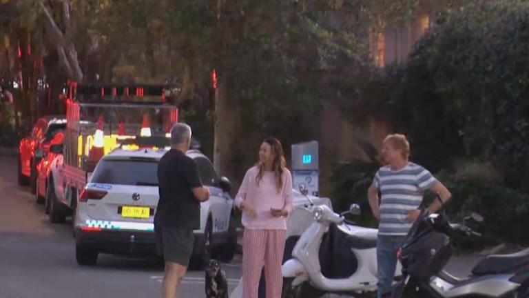 Man charged with murder over alleged stabbing death of elderly woman